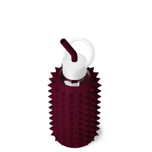 VALENTINA SPIKED & A KISS ON EACH CHEEK - LITTLE BOTTLE SIP KIT 500ML (16OZ) -Drinkware Shop bkr sip kit silicone straw cap glass water bottle 16oz spiked valentina a kiss on each cheek little bottle sip kit 500ml 16 oz rdvkcpk t16pb 34775396614315